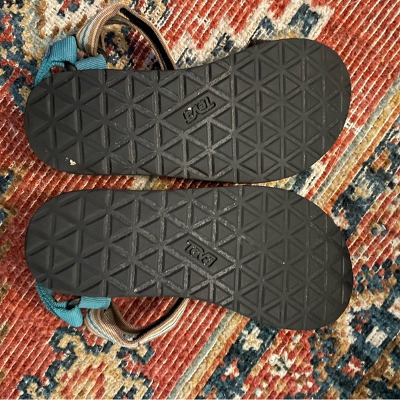 Size 7 used dessert cactus TEVAS - Picture 6 of 6